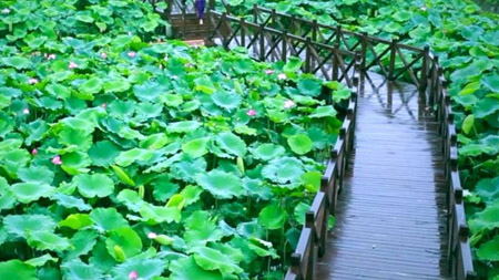 南充南部縣十大最好玩的地方，南部縣旅游景點(diǎn)有哪些