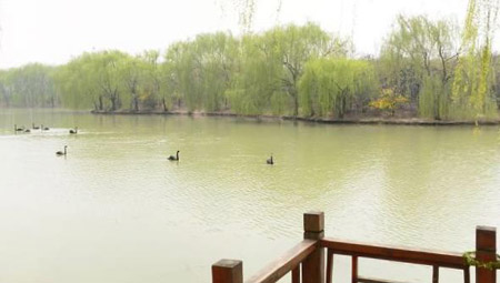 阜陽十大好玩的地方，阜陽有什么好玩的地方景點
